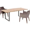 Table Harmony acier brut 200x100cm