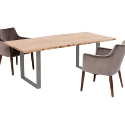 Table Harmony acier brut 200x100cm