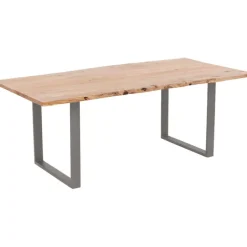 Table Harmony acier brut 200x100cm