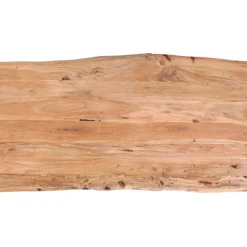 Table Harmony acier brut 200x100cm