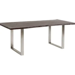 Table Harmony foncé chromé 200x100cm